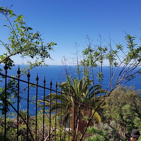 Villa Larnia De Tenerife El El Sauzal Buitenkant foto