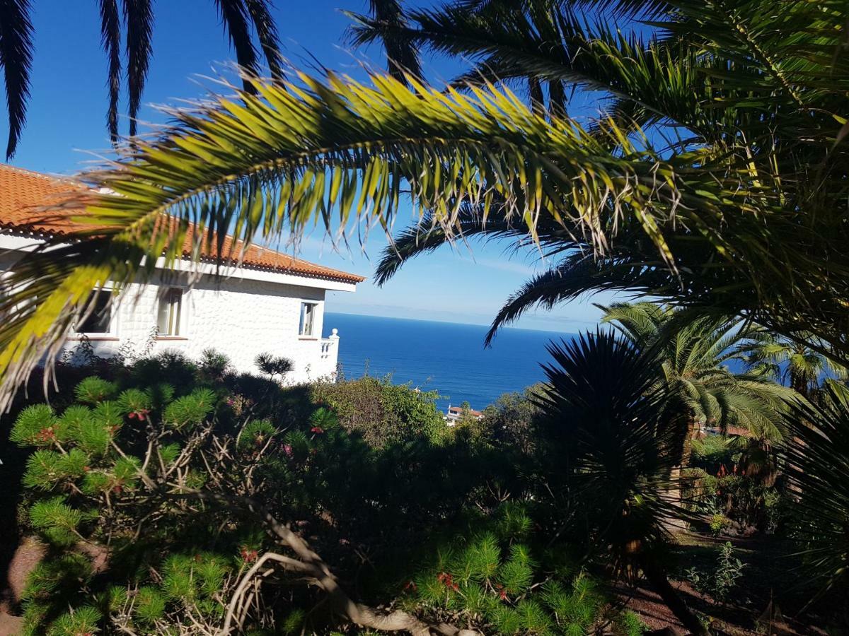 Villa Larnia De Tenerife El El Sauzal Buitenkant foto